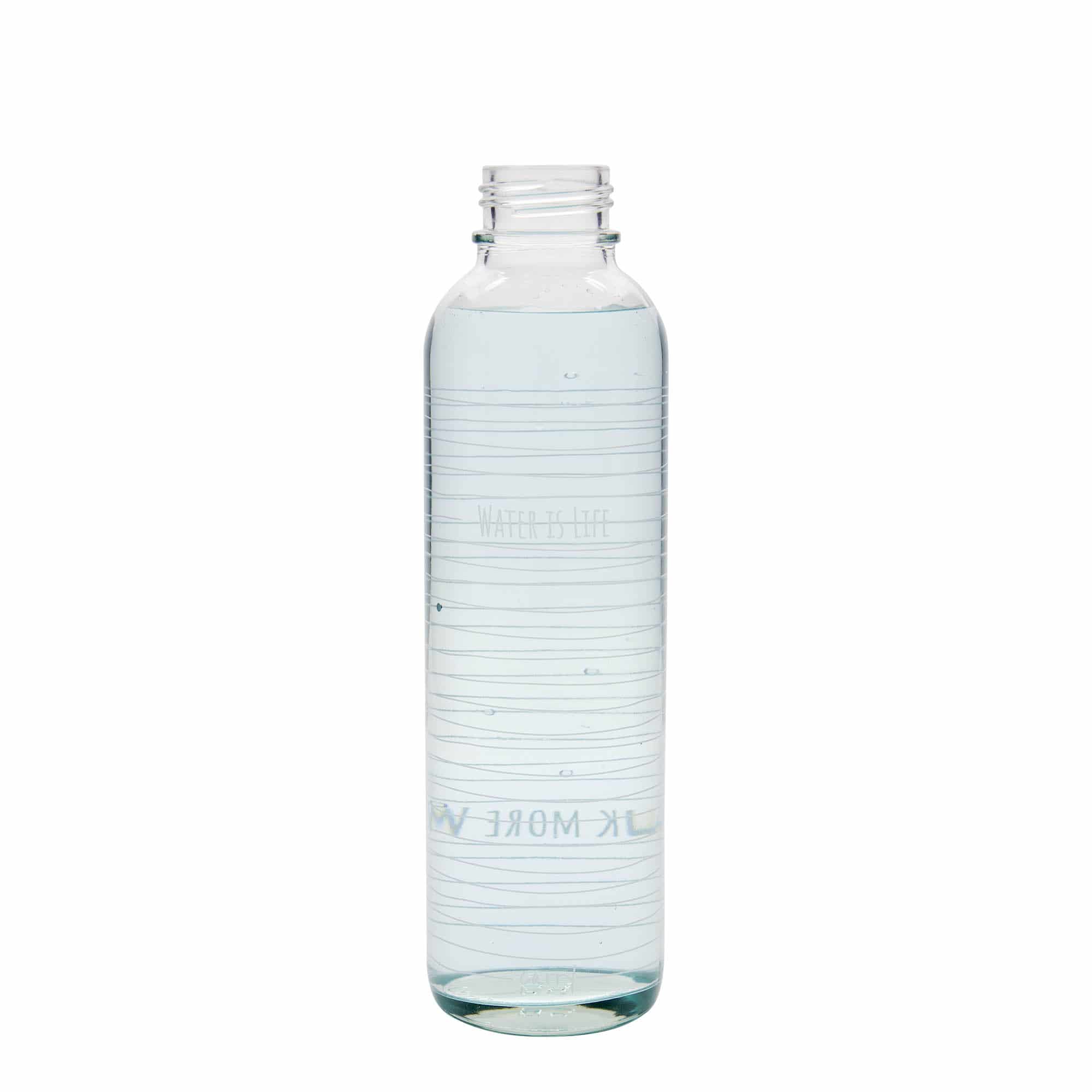 700 ml Borraccia 'CARRY Bottle', motivo: Water is Life, vetro, imboccatura: a vite